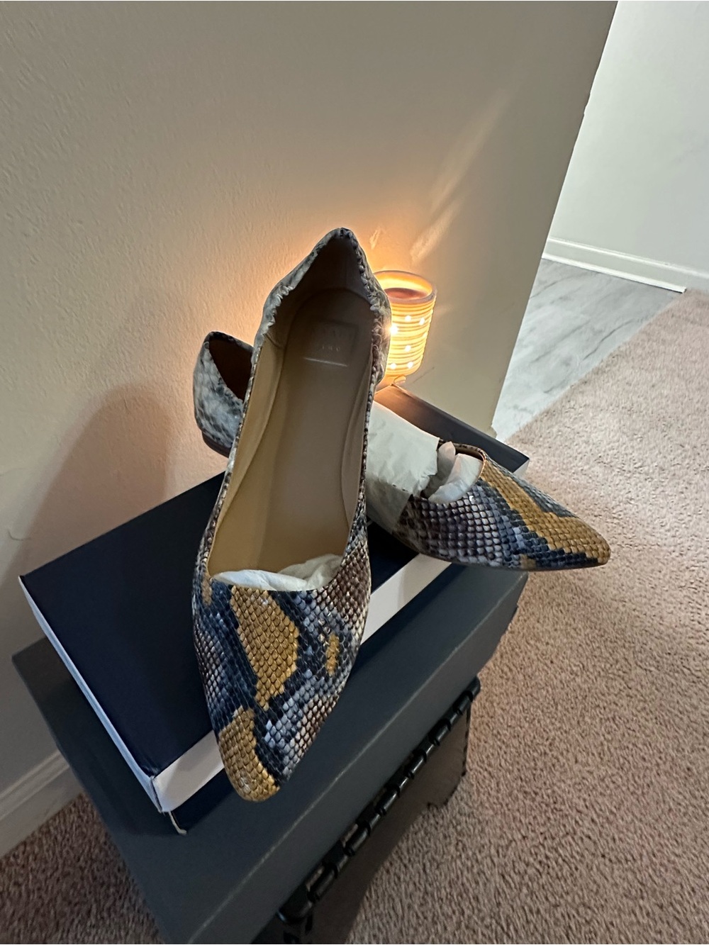 Kaari Blue Pointed Snake-Print Flats in Blue & Tan